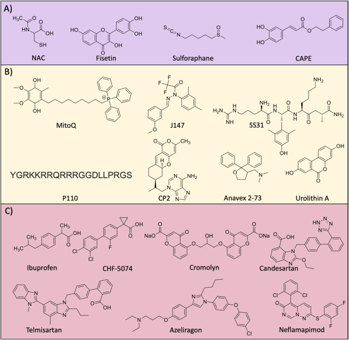 Fig. 9