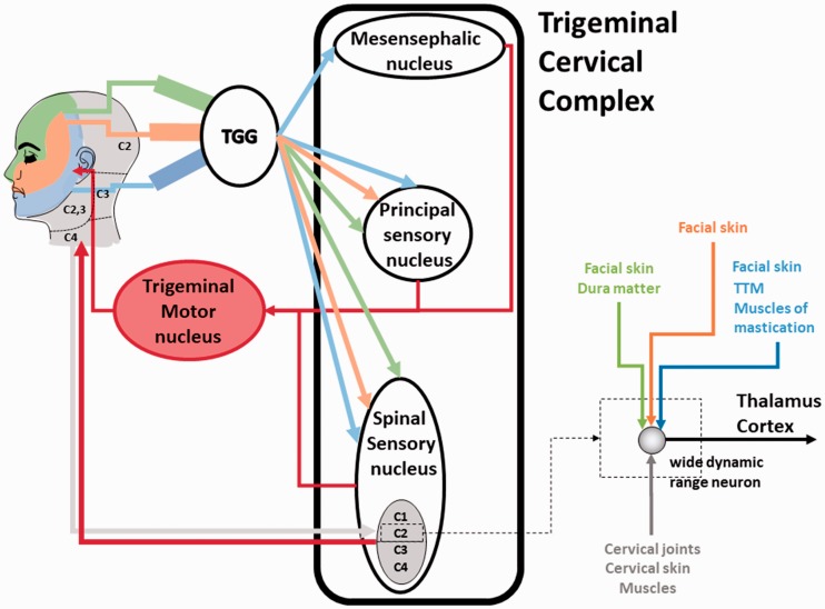 Figure 2.