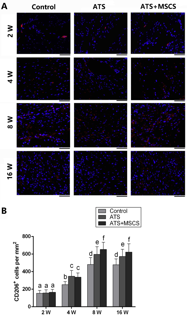 Figure 6