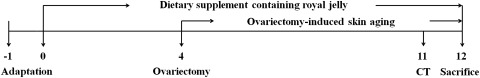 FIG. 1.