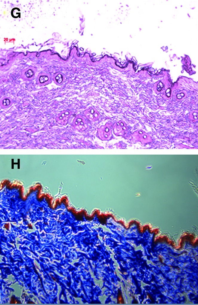 FIG. 5.