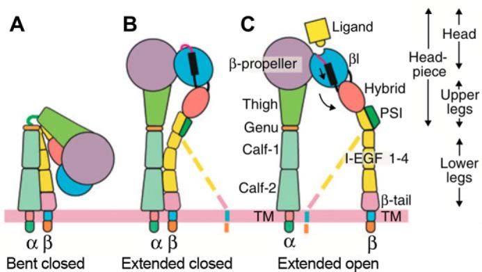 FIGURE 1.