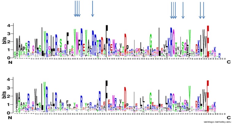 Fig 6