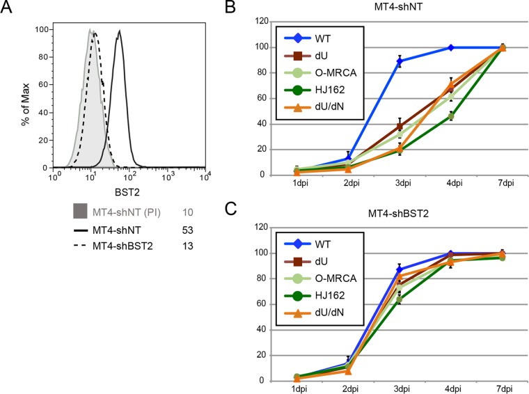 FIG 2