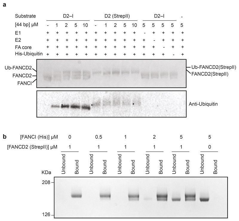 Extended Data Fig. 5