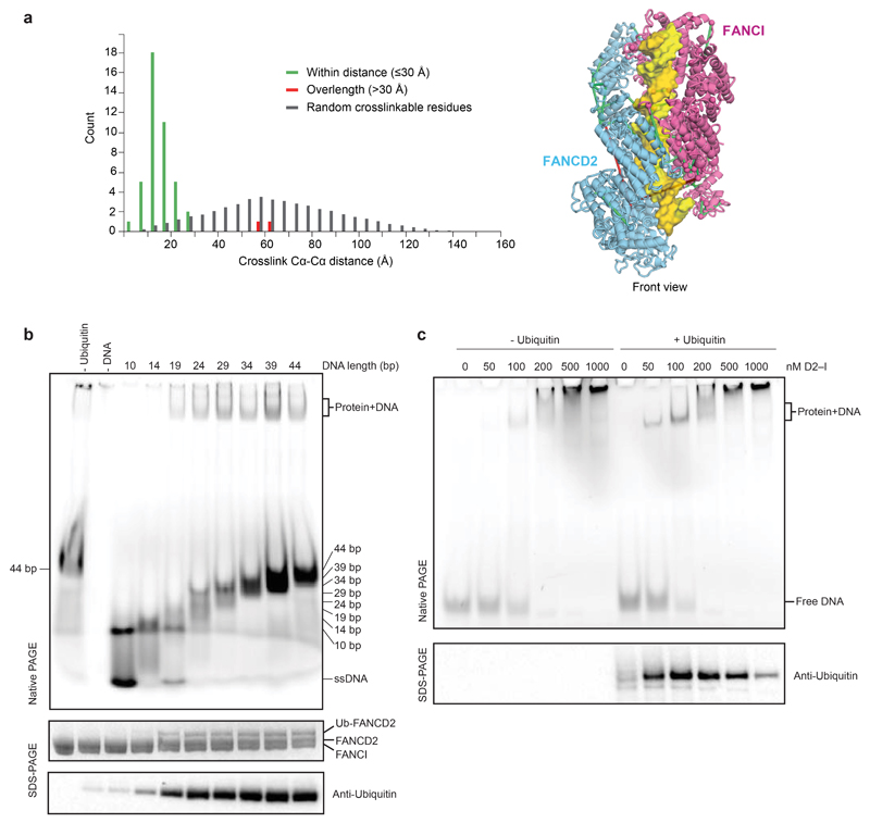 Extended Data Fig. 3