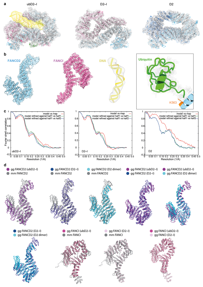 Extended Data Fig. 2