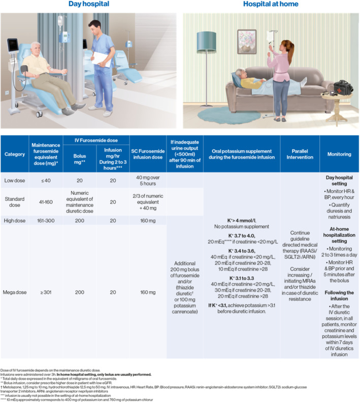 EJHF-2503-FIG-0004-c