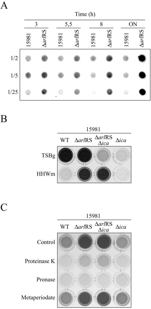 FIG. 5.