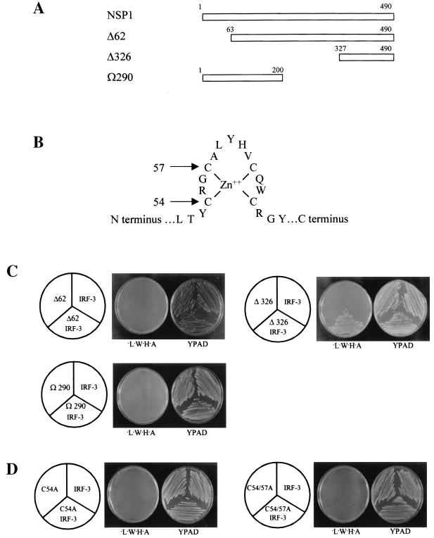 FIG. 3.