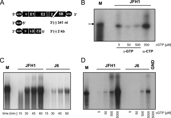 FIG. 5.