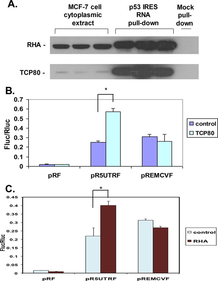 FIG 1