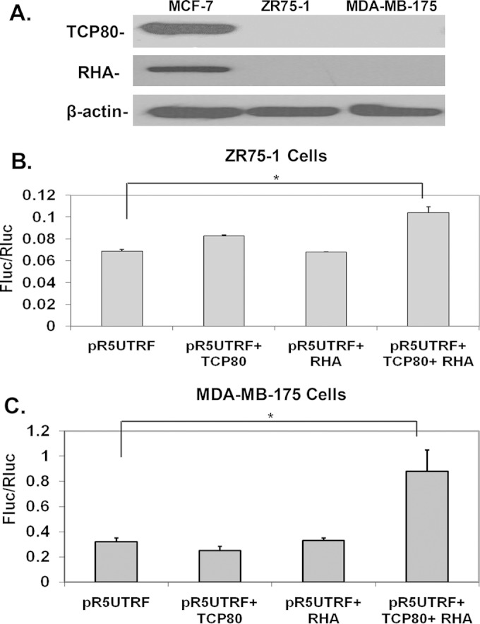 FIG 6