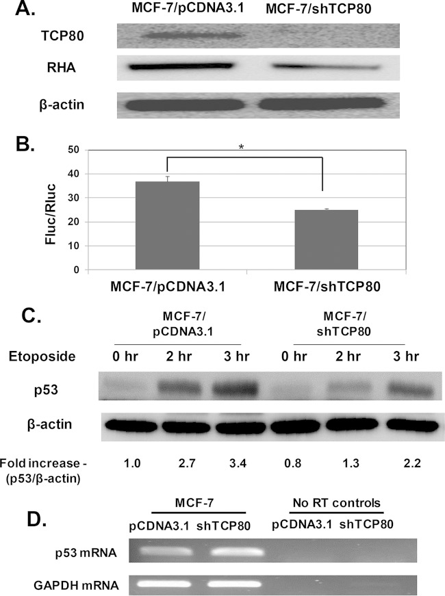 FIG 7