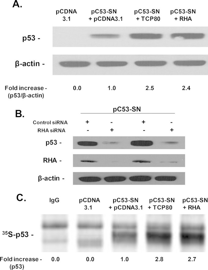 FIG 2