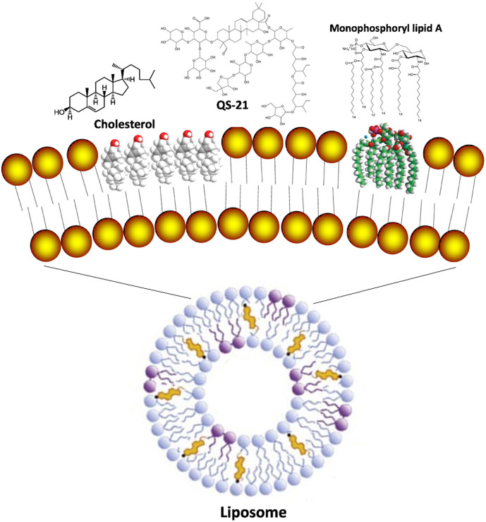 Unlabelled Image