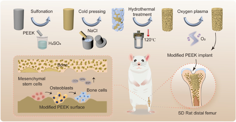 graphic file with name 40824_2023_407_Figa_HTML.jpg