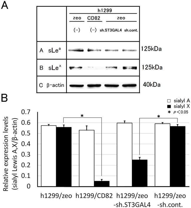 Fig 7