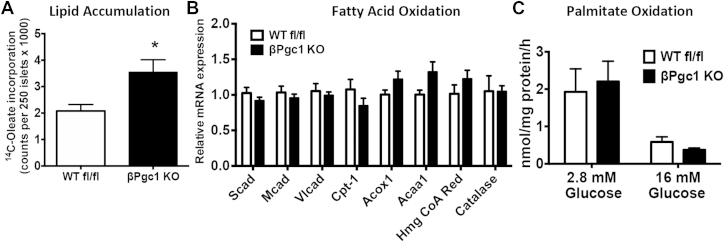 Figure 6