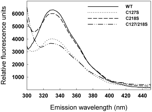 FIGURE 6