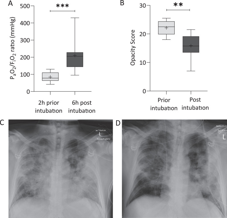 Fig. 2: