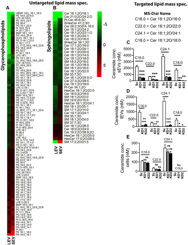 Figure 6: