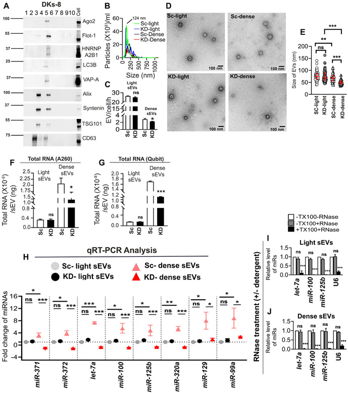 Fig 3: