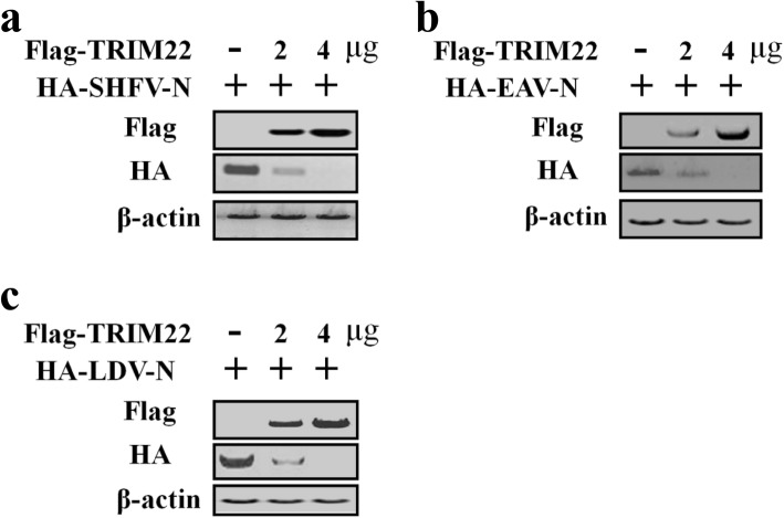 Fig. 7