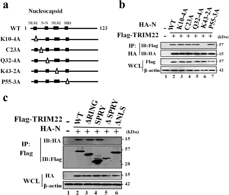 Fig. 6