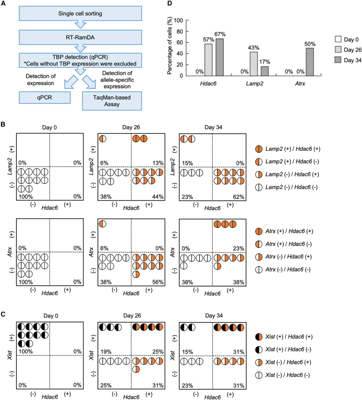 Figure 4