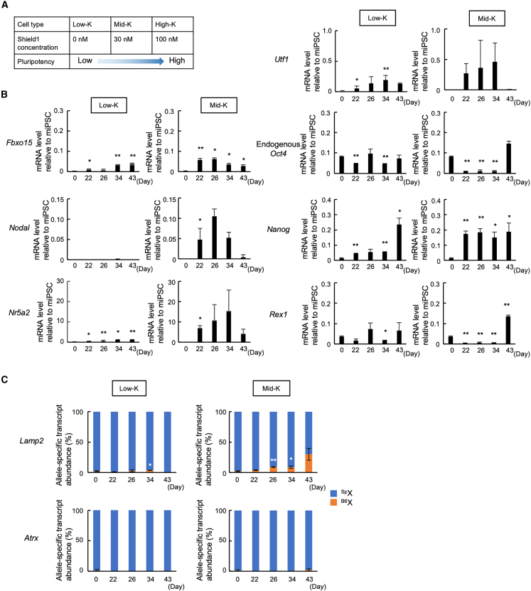 Figure 2