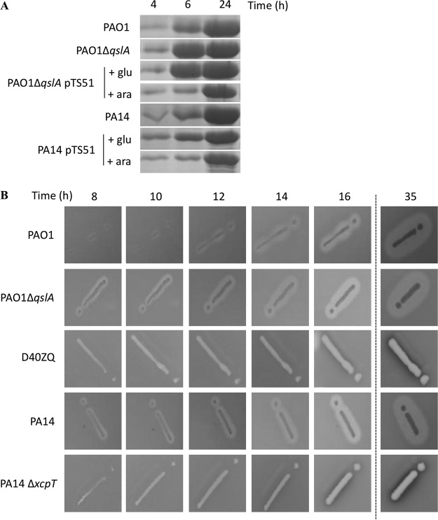 FIG 6