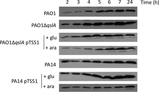 FIG 5