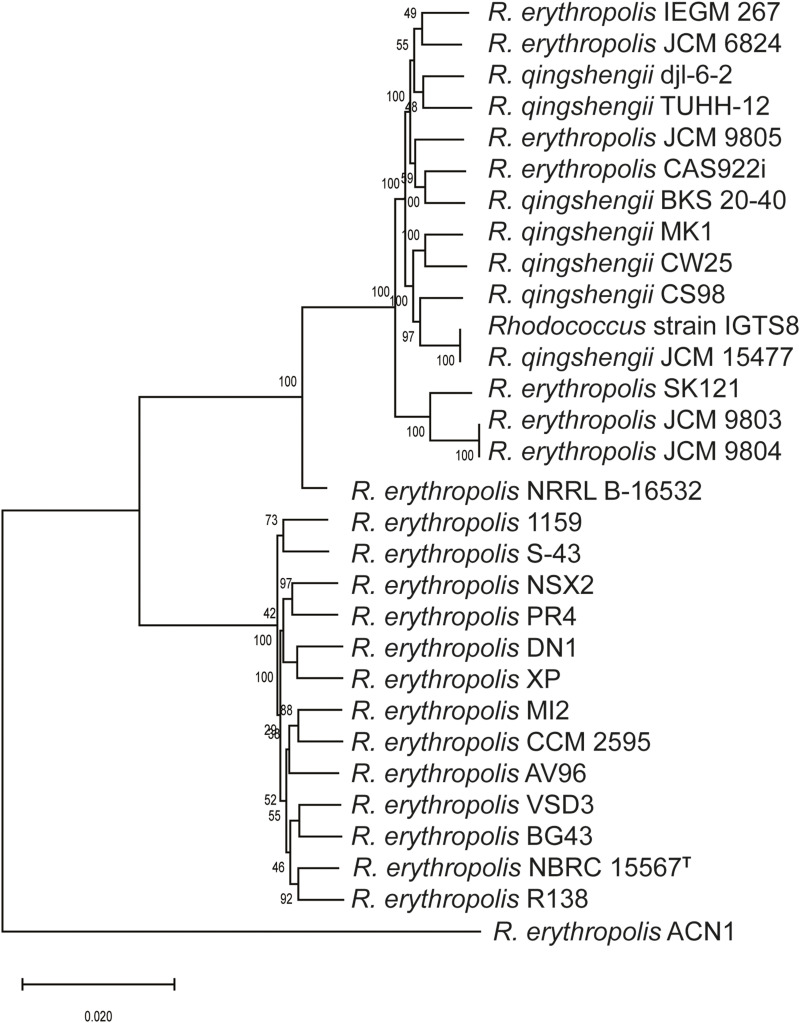 FIGURE 1