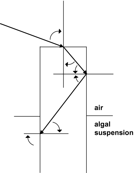 Fig. 10