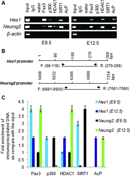 FIGURE 5: