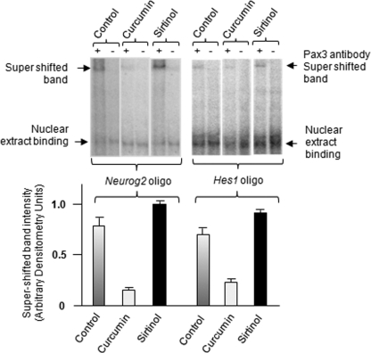 FIGURE 6: