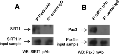 FIGURE 3: