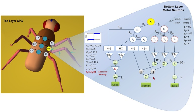 Figure 6