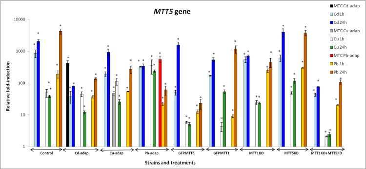 Fig 4