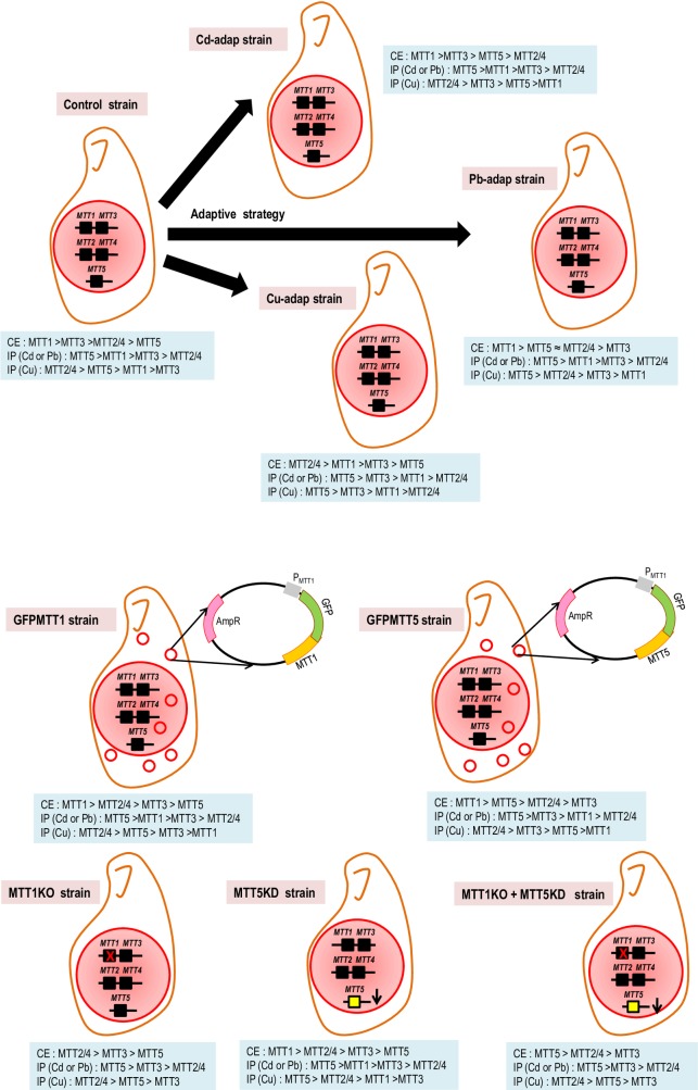 Fig 7