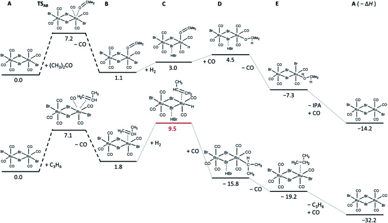 Fig. 8