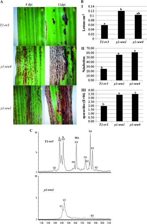 Figure 7.—