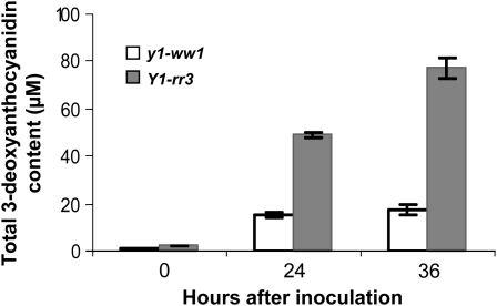 Figure 4.—