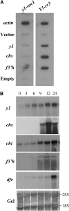 F<sc>igure</sc> 6.—