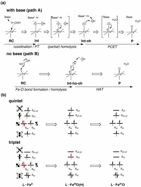 Scheme 4