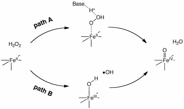 Scheme 3