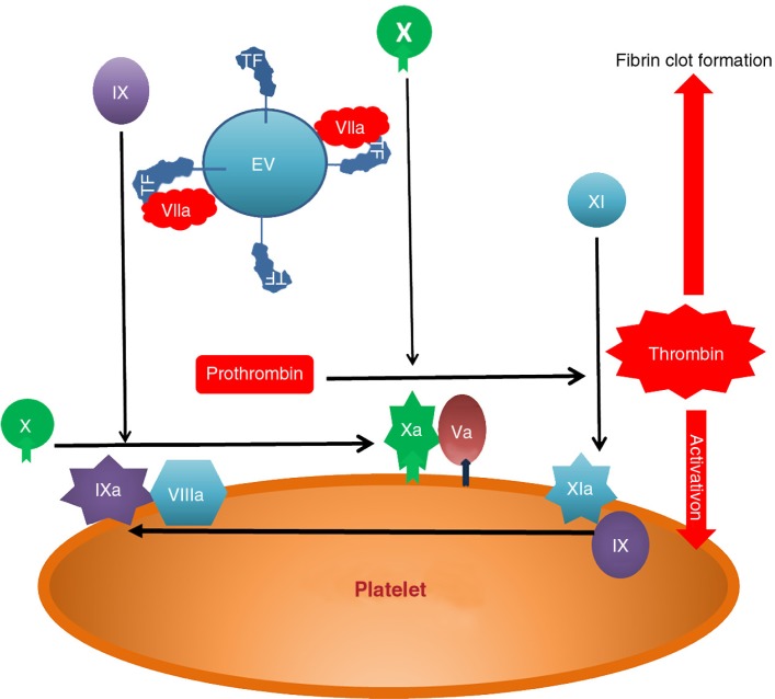 Fig. 2