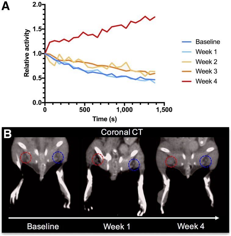 FIGURE 3.