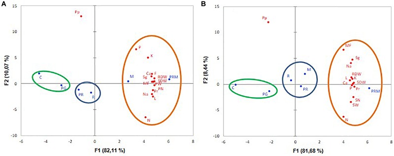 FIGURE 3